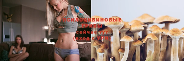 стафф Верхний Тагил