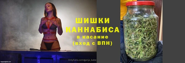 стафф Верхний Тагил