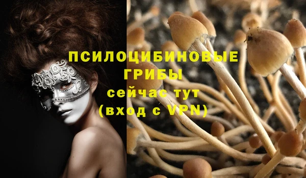 стафф Верхний Тагил