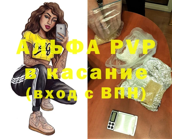 стафф Верхний Тагил
