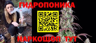 прущие грибы Тара