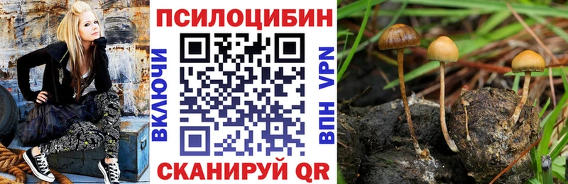 Галлюциногенные грибы мухоморы  Ухта 