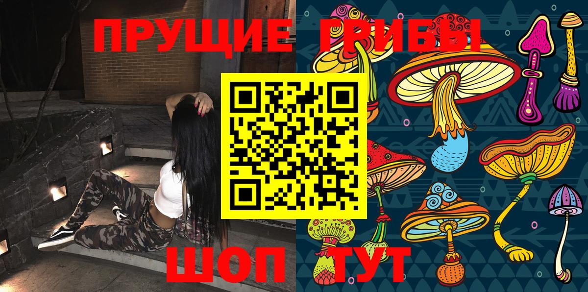 Ухта  Галлюциногенные грибы Psilocybe  Вход с VPN  Псилоцибиновые грибы Cubensis 